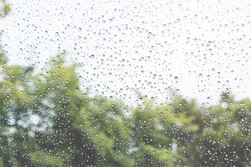 Rain drops on glass