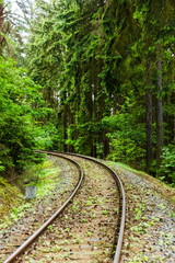Fototapeta premium Railroad in forest