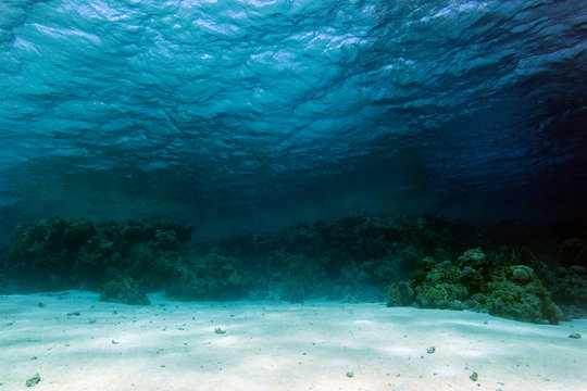 Ocean