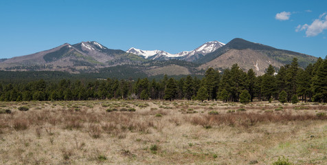 San Francisco Peaks, Arizona