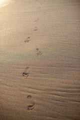 1010336 Footpath of foot prints on beach sand