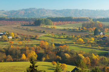 Autumnal landscape with color trees