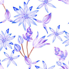 Floral seamless pattern with primerose watercolor. Purple spring flowers in hand drawn style on white background
