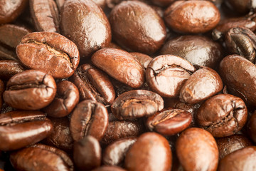 Fototapeta premium Close up of Roasted Coffee Bean 