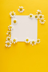 daisy flowers on the paper card