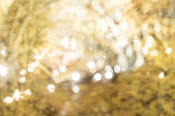 Obraz premium Yellow Defocused Light Background