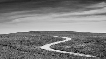 Kansas Prairie