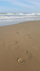 Footprints