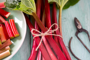 pieces of rhubarb on turquoise wooden surface