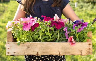 gardener with flowers