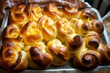 Fresh rolls on a baking sheet