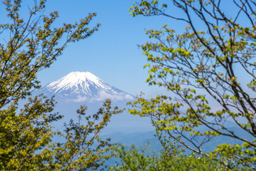 西丹沢から見る富士山