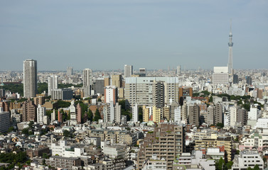 日本の東京都市風景・空とビル群（台東区や葛飾区、墨田区方面を望む）