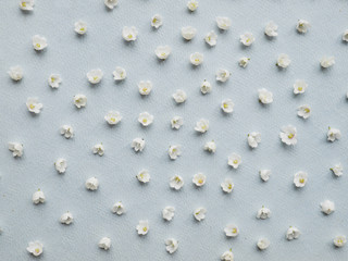 Small flowers on a blue background. Pattern of small white  flowers lilies of the valley. Floral abstract background.