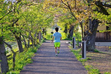 桜の咲く道を走る男の人