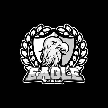 Eagle Team Grey Versions
