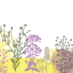 Colorful summer floral background