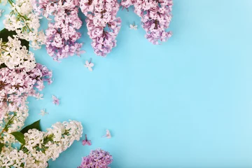 Cercles muraux Lilas Printemps belles fleurs lilas sur fond bleu