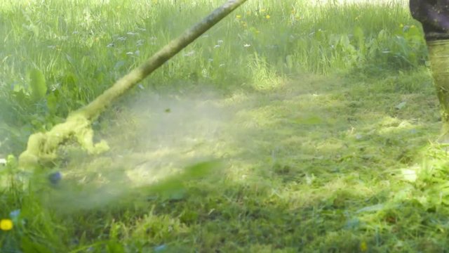Debroussailleuse en marche. Gros plan. Coupe des mauvaise herbes .  