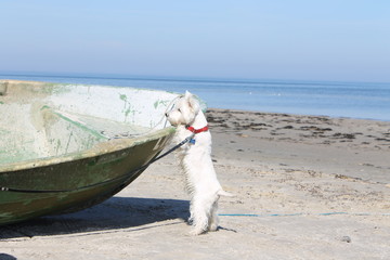 Coastline in Latvia with lighthouse
