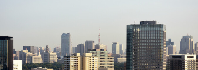 日本の東京都市景観（官庁街やビル群などを望む）