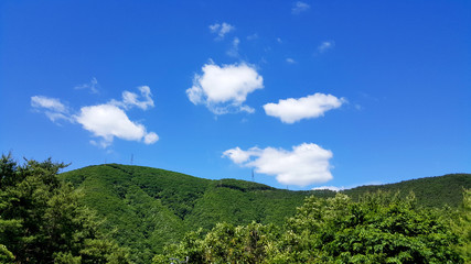 Fototapeta na wymiar Sky of clear Rural landscape (시골풍경)