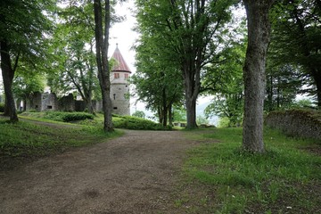 Ruine Honberg im Sommer