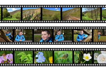 pellicule photo négatif planche contact