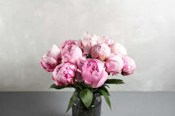 Pink peony flower on a gray background.copy space