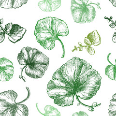 Seamless pattern from green leaves of herbaceous plants on a white background.