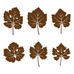 Set of autumn leaves