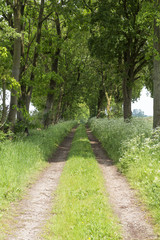 track across fields in Lower Saxony
