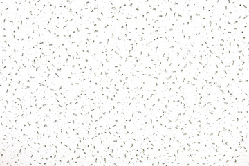 White sound acoustic absorption wall panels texture