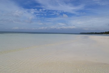 Philippines beach with coconut and ocean view