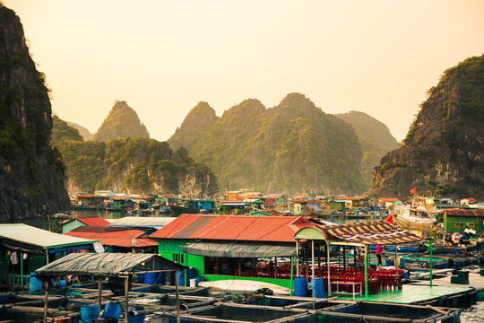 Fisherman village of houses on water and boats near Cat ba island in Vietnam at sunset