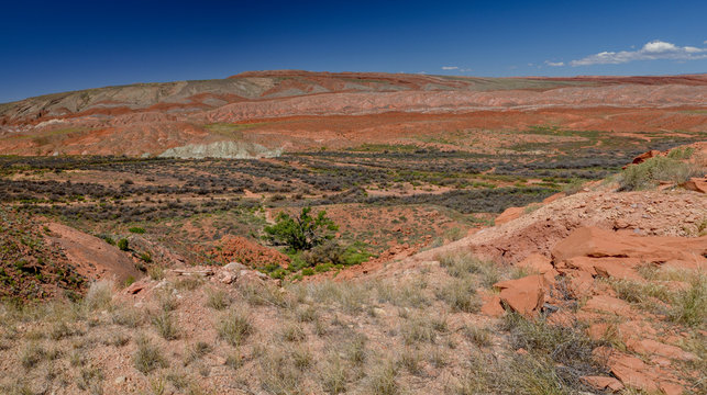 deserted wastelands and sandstone canyons on the border between Utah and Arizona
Blanding, San Juan County, Utah, United States