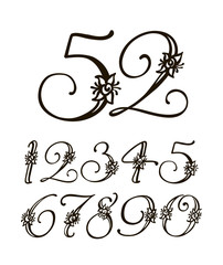 Vector handwritten calligraphic font. Set of numbers for holidays, anniversaries, births