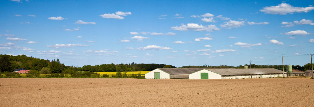 Elevage en campagne Fran&ccedil;aise