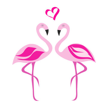 two flamingos in love vector illustration