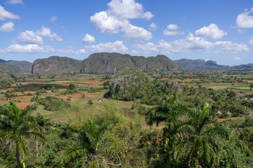Fototapeta na wymiar Valle de Vinales, Cuba