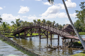 Wooden bridge