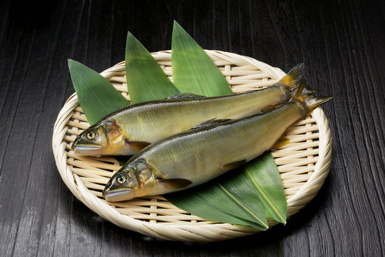 鮎　Japanese sweetfish