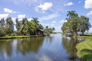 Fototapeta na wymiar River with wooden shed