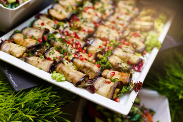 Eggplant rolls with walnuts. Delicious fried aubergines with nuts, herbs and pomegranate seeds. Dish of Georgian cuisine.