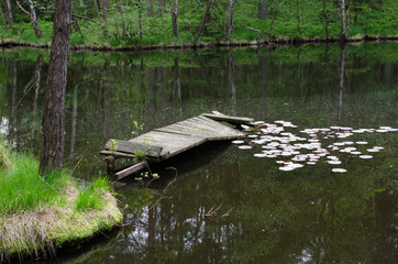 verfallener Bootssteg am Teich