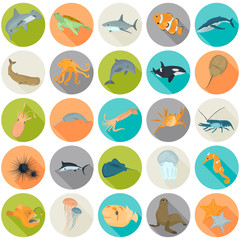 Set of sea animals color flat icons for web and mobile design