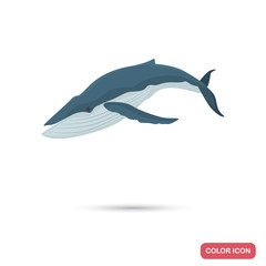 Blue whale color flat icon for web and mobile design