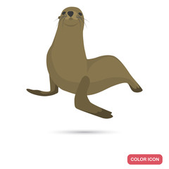 Fur seal color flat icon for web and mobile design