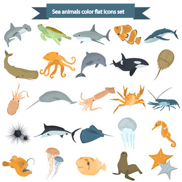 Set of sea animals color flat icons for web and mobile design