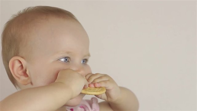 Little baby girl eating cookies